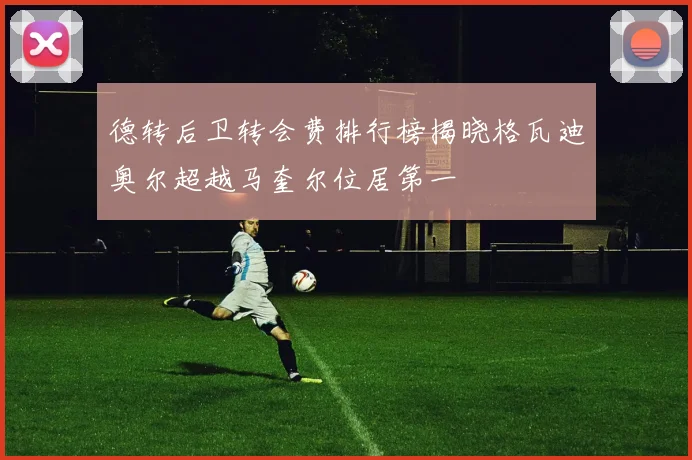 德转后卫转会费排行榜揭晓格瓦迪奥尔超越马奎尔位居第一