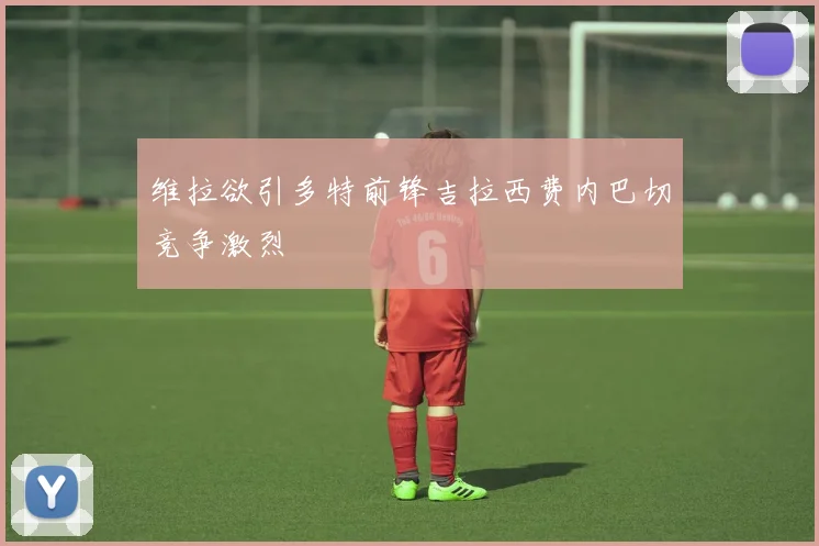 维拉欲引多特前锋吉拉西费内巴切竞争激烈